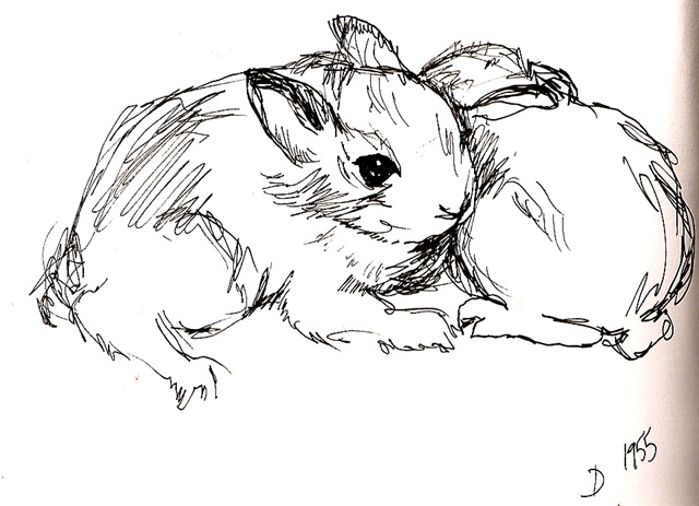[bunny drawing 1[2].jpg]